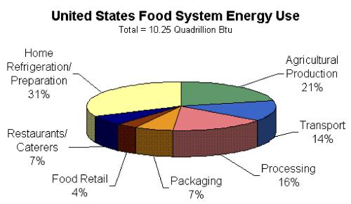 food energy use